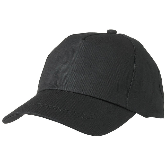Myrtle Beach Baseball Pet 5 Panels